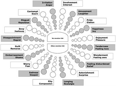 Investigating Emotion Perception via the Two-Dimensional Affect and Feeling Space: An Example of a Cross-Cultural Study Among Chinese and Non-Chinese Participants